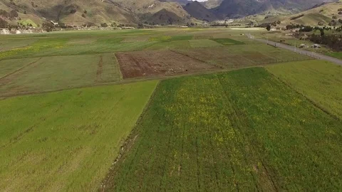 High Speed over Crops in the Andes Stock Footage 75019715