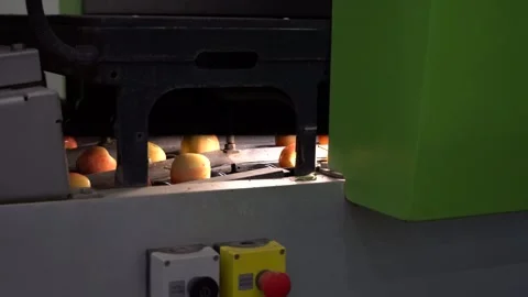 High Speed Precision Optical Apple Grading and Sorting Machine Stock Footage 253906588