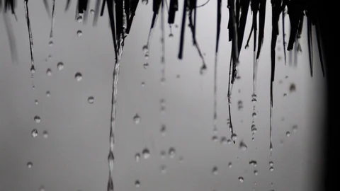 High Speed Rain Drops Video stock 86194420