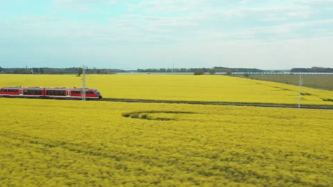 A high-speed red electric train rushes through a blooming field of rapeseed Stock-Footage 151531220