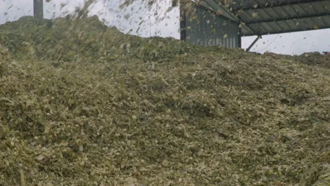 High speed shot silage process Stock Footage 209812830