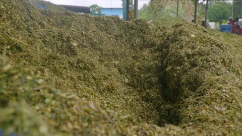 High speed shot silage process Stock Footage 209815184