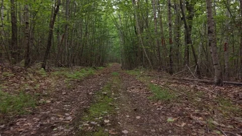 High speed through the ridge trail 6-25-26 Stock Footage 340674089