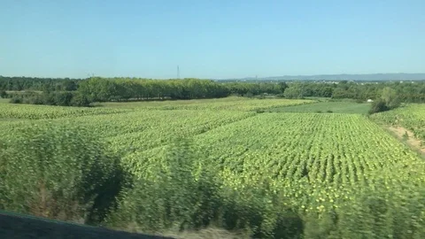 On the high speed train at 250 km/h passing Tuscany landscapes PART4 動画素材 94833239