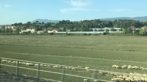 On the high speed train at 250 km/h passing Lazio landscapes PART2 Stock Footage 94858980