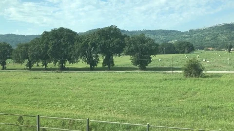 On the high speed train at 250 km/h passing Lazio landscapes PART6 Stock Footage 94861538