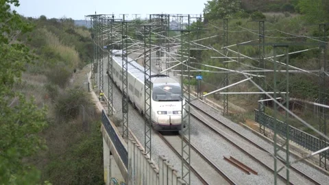 High speed train approaching through a wooded area Stock Footage 239677354