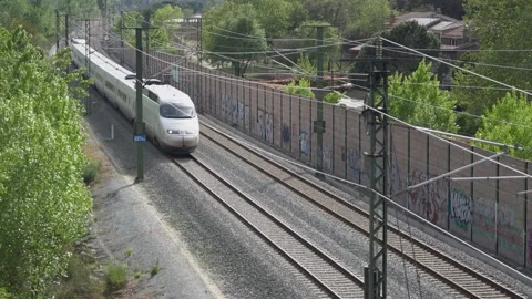 High speed train approaching through a wooded area Stock Footage 239677382