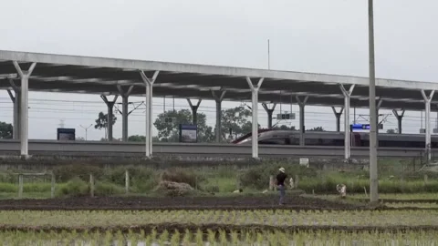 High-Speed Train Arriving at Modern Station Beyond Rural Rice Field Stock Footage 342025312