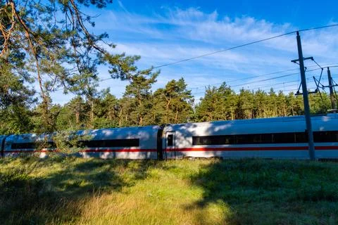 High-Speed Train Between Forest Trees Foto stock