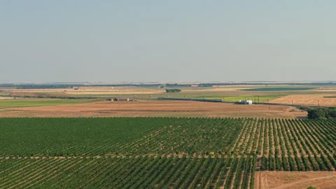 High speed train crossing agricultural landscape in rural Spain Stock Footage 342514358