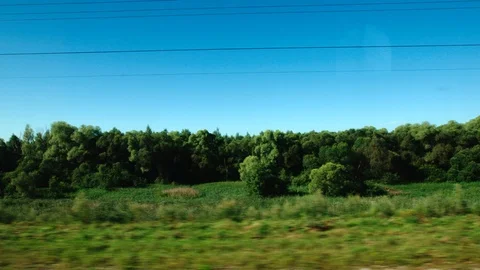 High-speed Train moves past a forest with a low trees in the summer Видео 119353745