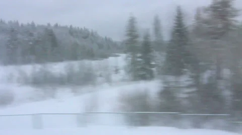 High-speed train is moving rapidly through the winter woods (POV) Stock Footage 23012328