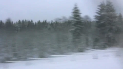 High-speed train is moving rapidly through the winter woods (POV) Stock Footage 23012339