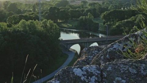 High Speed Train passing on A Bridge in a Valley Stock Footage 105252815
