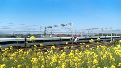 High Speed Train Passing Through Vibrant Yellow Rapeseed Fields in Springtime Stock Footage 342112567