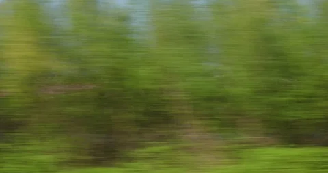 High speed train passing tulip field Stock Footage 89006713