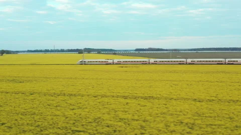 A high-speed white electric train rushes through a blooming field of rapeseed Video stock 151647515