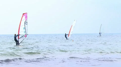 High Speed Windsurfers Stockbeeldmateriaal 7737712