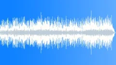 High Spiritedness incidental underscore in D minorStock Music