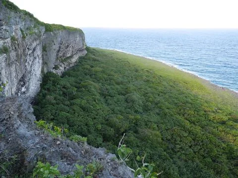 High stone cliffs at the bird sanctuary in Rota, Northern Mariana Islands Foto stock