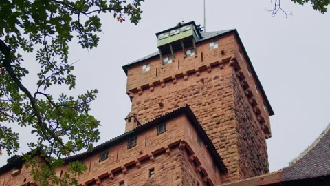 A high stone tower with a small rooftop lookout, surrounded by tree branches Stock Footage 311886377