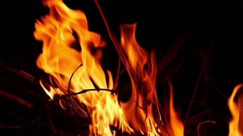 High straight fire flames, shot of burning woods, fire flames close shot Видео 148210112