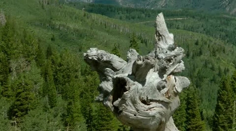 High Summer Rocky Mountains Video stock 11284015
