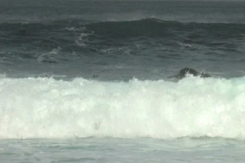 High surf Stock Footage 5218981