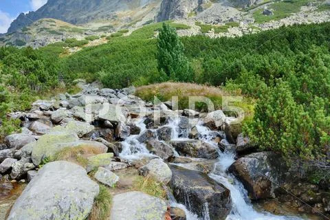 High Tatras nature Stock Photos