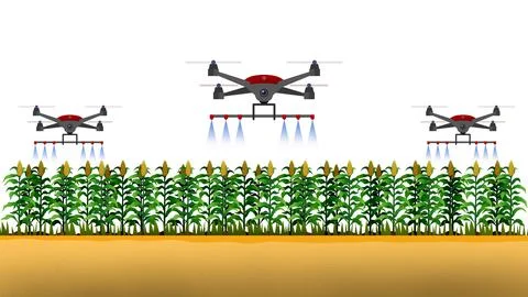 High tech drone spraying crops, Agriculture drone fly to sprayed fertilizer Stock Illustration