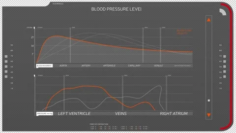 High-tech screen displays graphs of analysis of the human circulatory system. Stock Footage 144824370