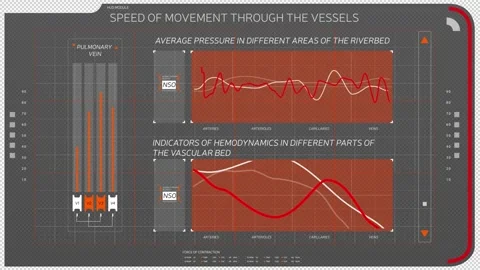 High-tech screen displays graphs of analysis of the human circulatory system. Stock Footage 144825697
