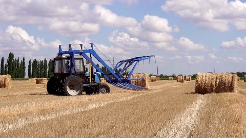 High technology agricultural tractor working on big organic rye field collecting Video stock 94027290