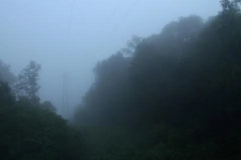 High Tension Power Cable through The Misty And Rainy Forest Stock Photos