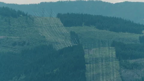 High Tension Power Lines Through an Oregon Forest - On a Very Long Lens Stock Footage 233823717