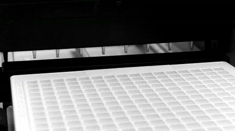 High Throughput Liquid Dispenser Stock Footage 307538