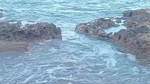 High tide in the afternoon Stock Footage 318651255