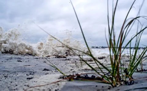 High Tide at beach with grass Stock Photos