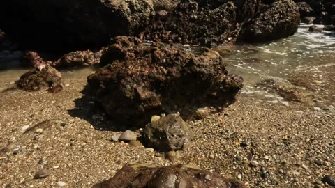 High tide between coral and beach sand Stock Footage 319808061