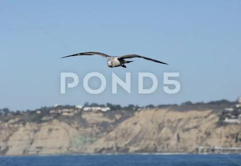 High Tide Coastal Waves Hitting the La Jolla California Shore Stock Photos