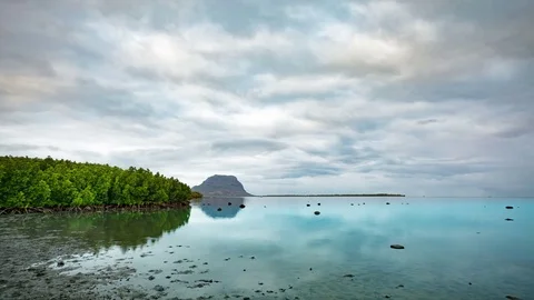 High tide coming to mangrove lagoon at sunset time lapse Stock Footage 72848257