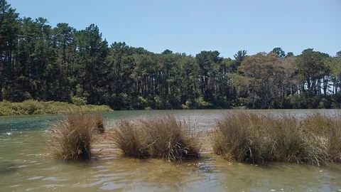 High tide in the estuary Stock Footage 127679913