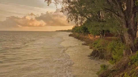 High tide in evening summer light, Diani Beach, Kenya Stock Footage 289444638