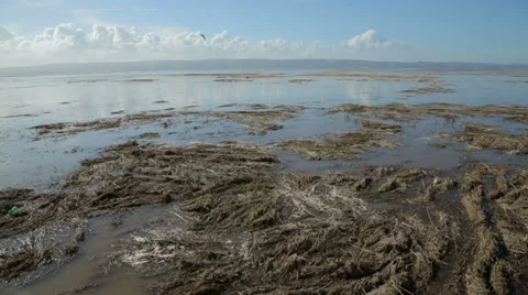 High tide floods up river dee estuary, wirral, england Stock Footage 37342886