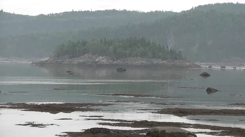 High tide moving in slowly on a cloudy and foggy day in Bic National Park. Stock-Footage 81786804