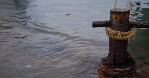 High tide on the pier. Vídeo Stock 201003121