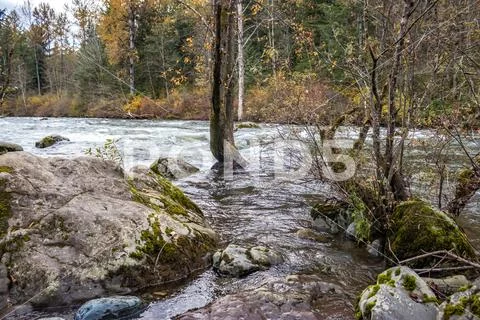 High tide pools in fall Stock Photos