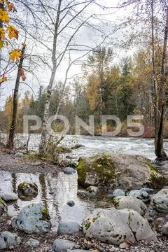 High tide pools Stock Photos