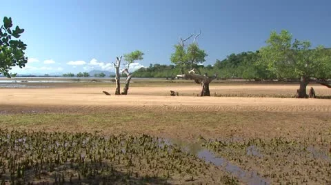 High Tide Timelapse Stock Footage 10838966